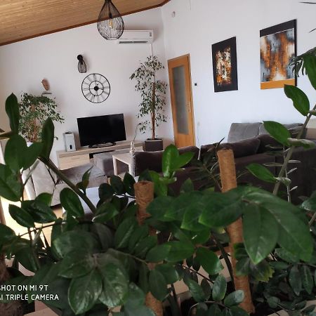 Apartment Burich Makarska Buitenkant foto