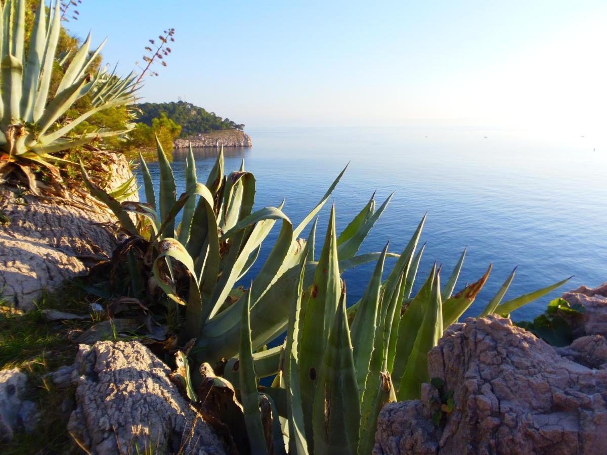 Apartment Burich Makarska Buitenkant foto